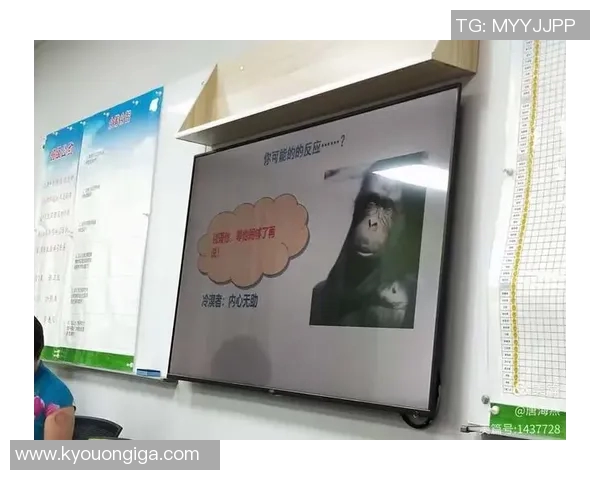 上海篮球队心理素质深度解析与提升策略探讨 上海篮球队心理素质深度解析与提升策略探讨