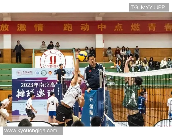 杭州排球队的奋斗与荣耀:一段排球精神的真实纪实之旅 杭州排球队的奋斗与荣耀:一段排球精神的真实纪实之旅