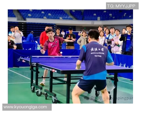 乒乓球速度排行榜：武汉乒乓球队位居第8名