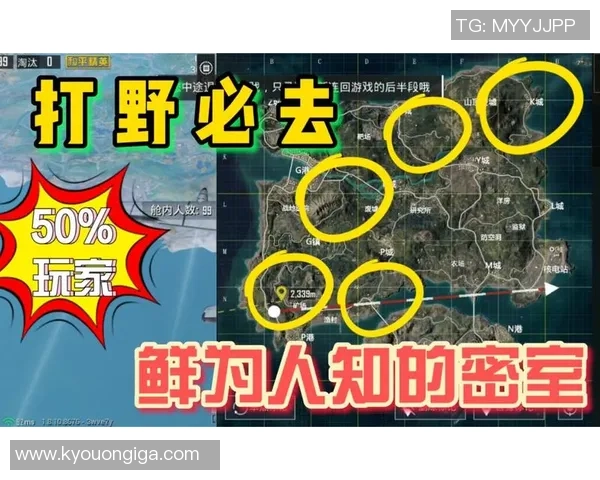 和平精英深度：解密TES的进攻