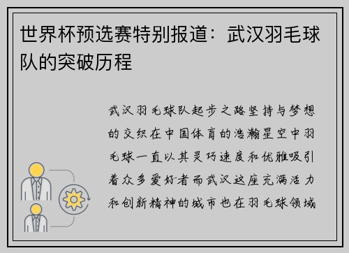 世界杯预选赛特别报道：武汉羽毛球队的突破历程
