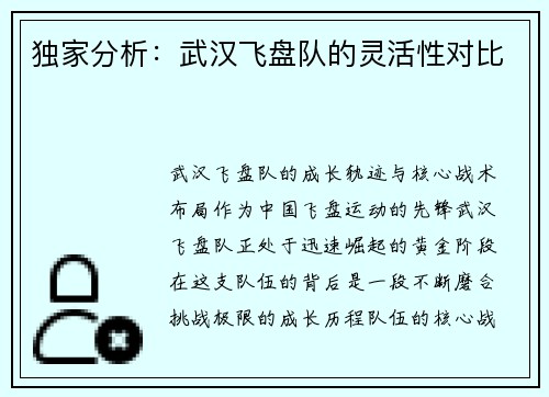 独家分析：武汉飞盘队的灵活性对比