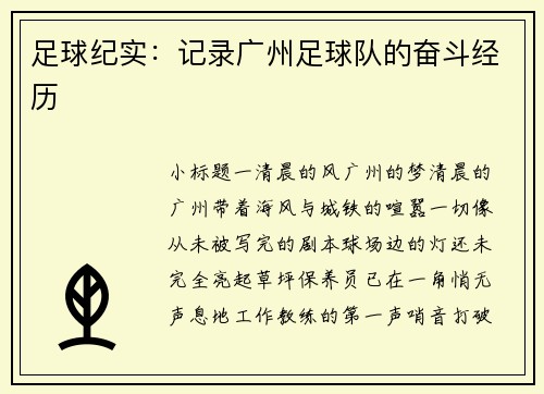 足球纪实：记录广州足球队的奋斗经历