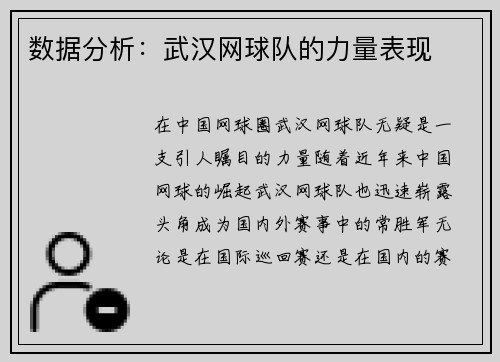 数据分析：武汉网球队的力量表现